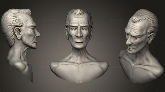 Anatomy of skeletons and skulls (Bust Sketch, ANTM_0331) 3D models for cnc